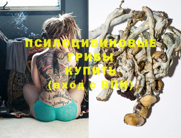 прущая мука Надым