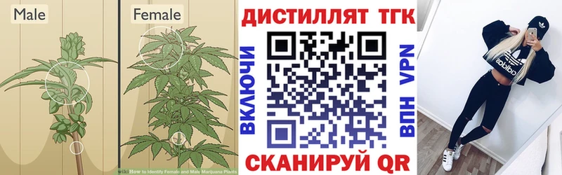 Дистиллят ТГК THC oil  Майский 