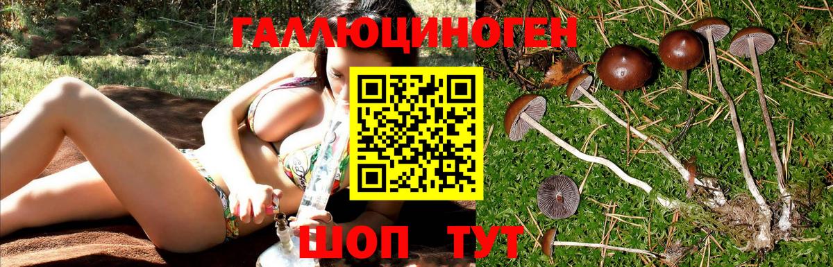 Псилоцибиновые грибы Magic Shrooms  Майский 