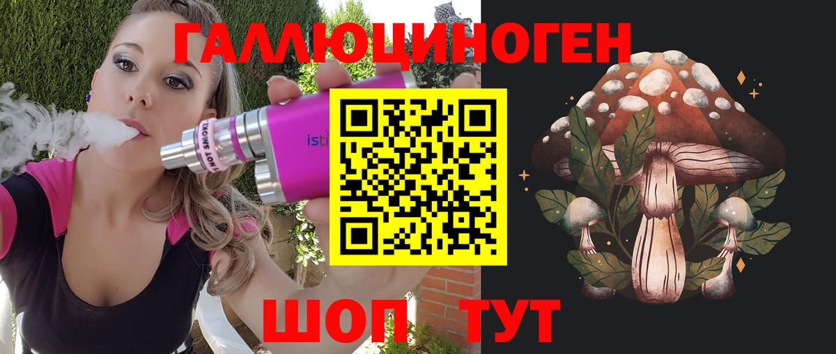 Галлюциногенные грибы Psilocybine cubensis Майский